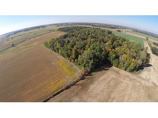 Tract 8 - LAND & REAL ESTATE AUCTION, 450+/- Acres offered in 17 Tracts of Highly Productive, Tillable Crop Land